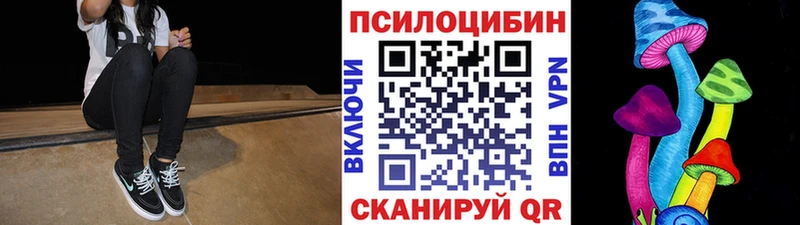 кракен рабочий сайт  цена   Звенигово  Псилоцибиновые грибы мицелий 